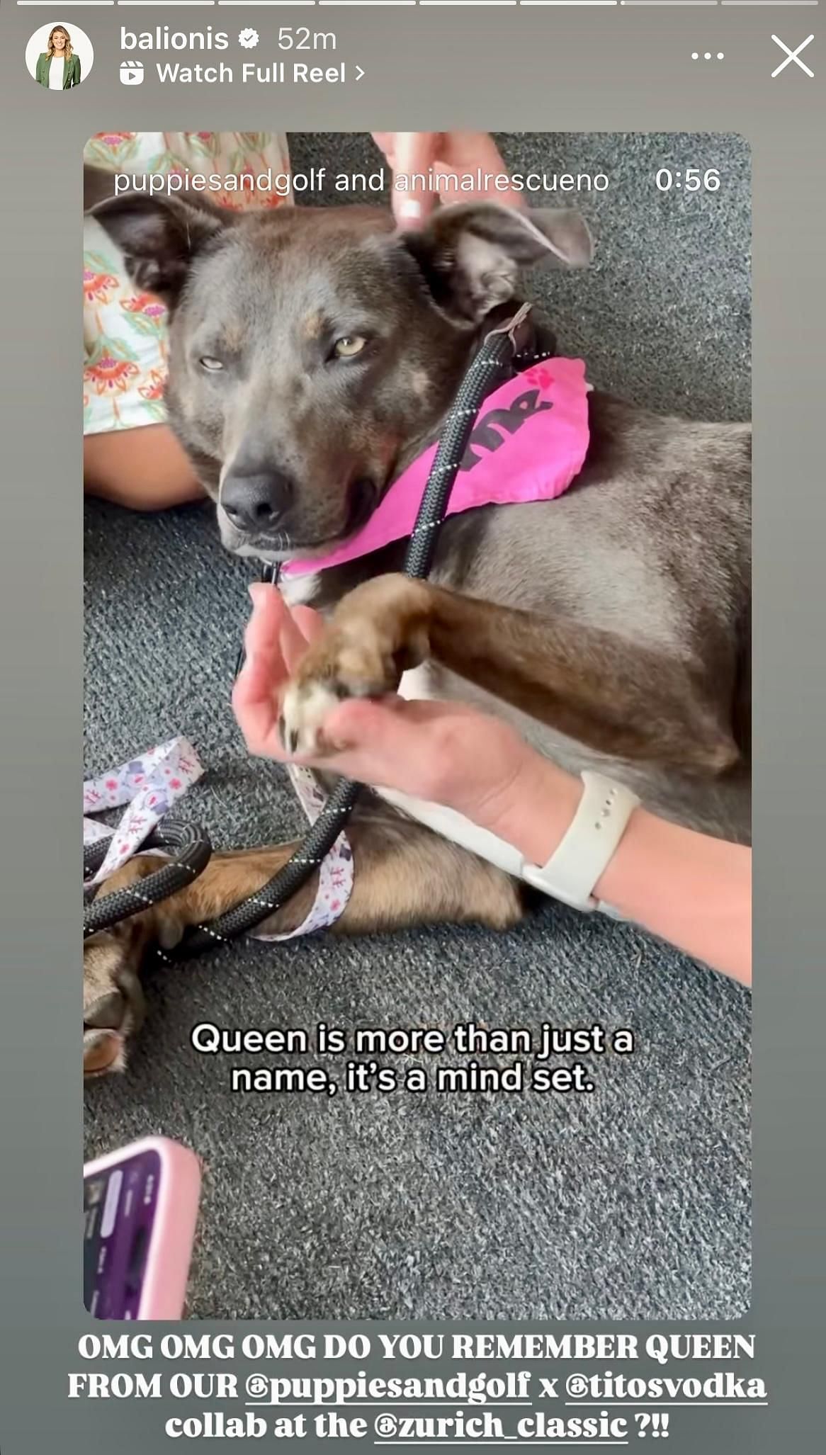 A still taken from Amanda Balionis's Instagram story - Source: Instagram@balionis